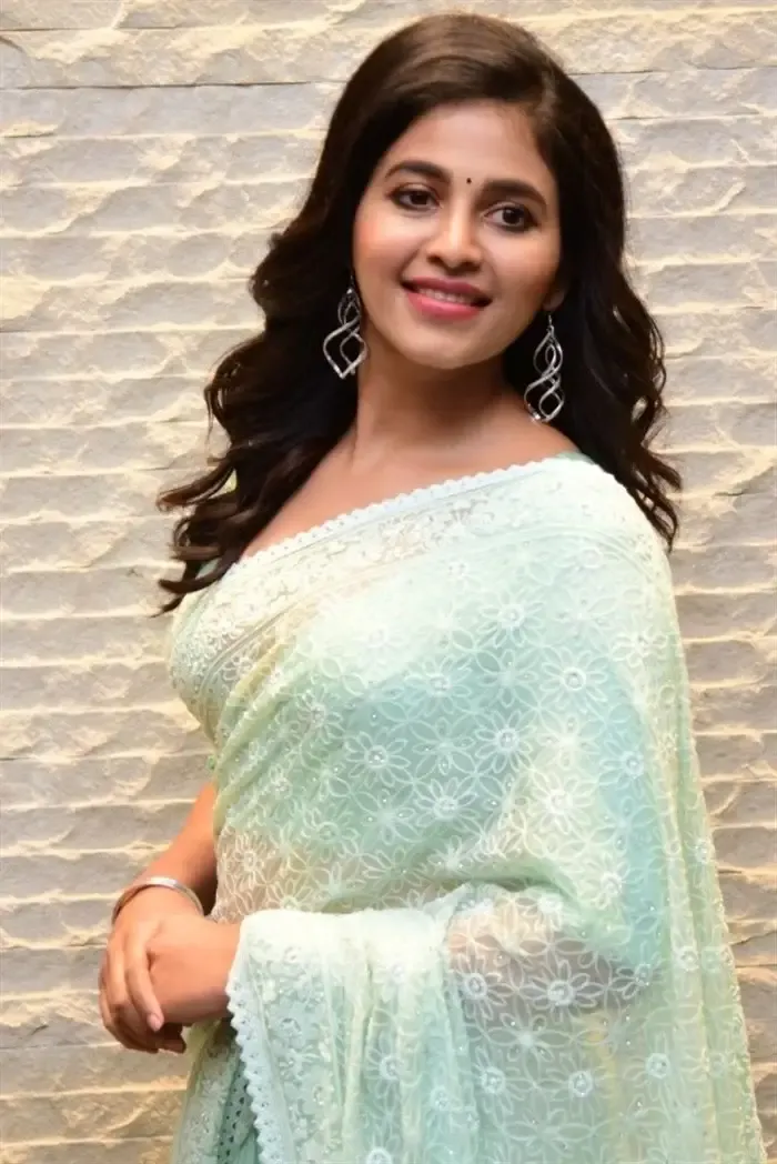 SOUTH INDIAN ACTRESS ANJALI STILLS IN TRADITIONAL LIGHT GREEN SAREE 21